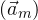 (\vec{a}_{m})